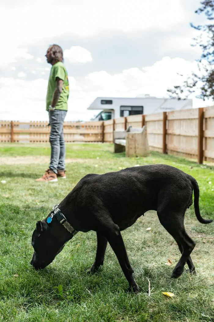 I Charge My Neighbors/Strangers $10 An Hour To Rent My Backyard For Their Dogs