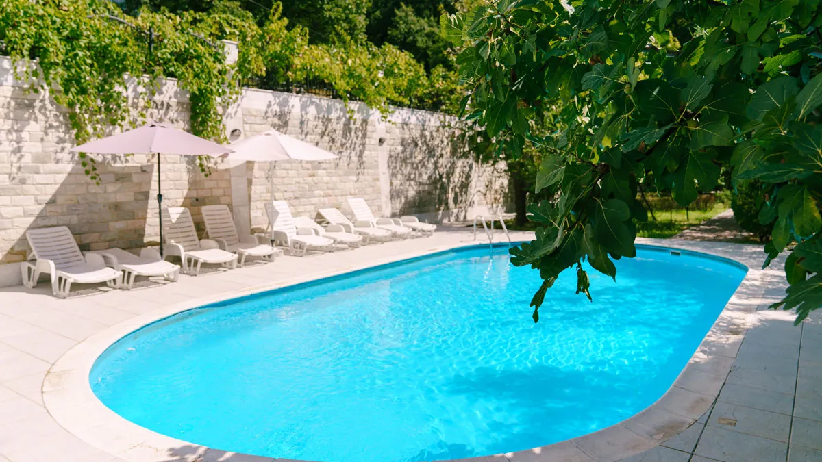 Woman Fed Up With Neighboring Squatters Mistreating The Dog And Invading Her Pool, Resorts To Action