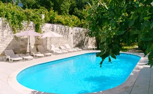Woman Fed Up With Neighboring Squatters Mistreating The Dog And Invading Her Pool, Resorts To Action