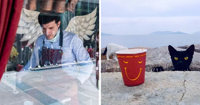 People, Cats, And Perfect Timing: Sami Uçan's 25 New Street Photos