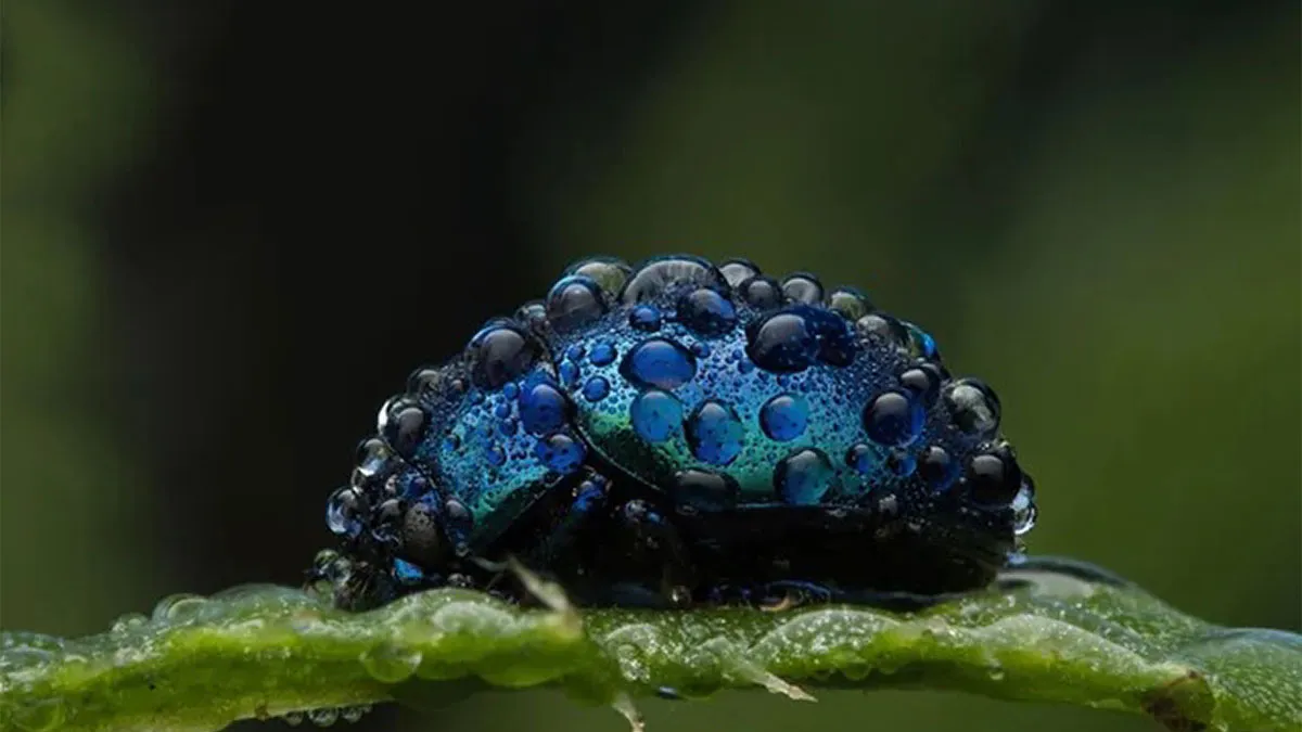 51 Times Nature Delivered The Most Wholesome Moments Ever Photographed