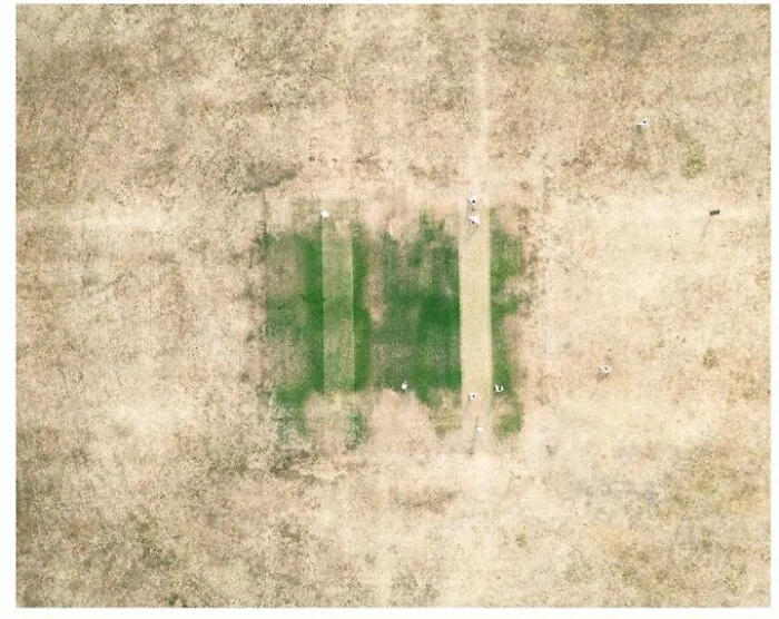 Drone Shot Of Our Game On Sunday. Cricket As Art In The Heatwave Summer