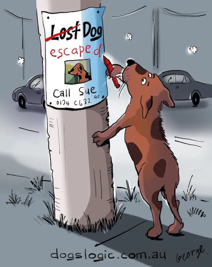 A brown dog writing escaped on a lost dog poster, a funny example of dog logic
