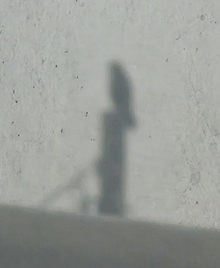 Shadow of an owl on a wall creating a wildlife silhouette