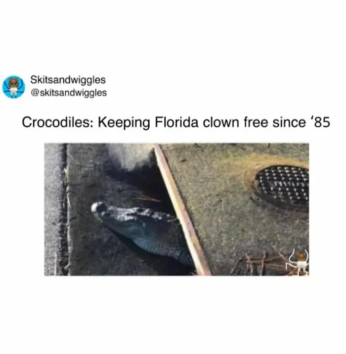 73 Funny And Chaotic Memes For When Life Gets Too Serious