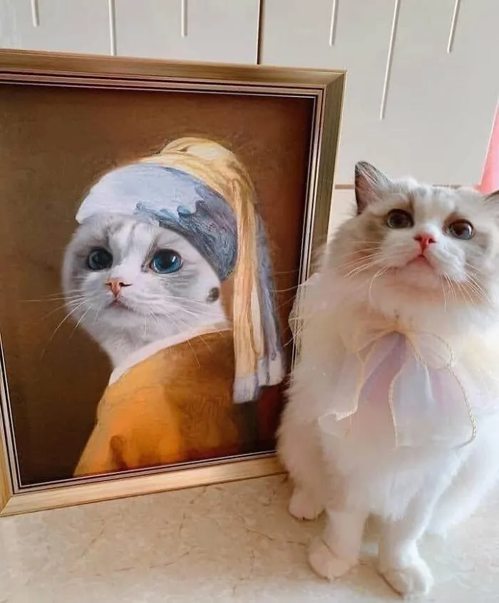 This Page Shared 40 Photos Of Cats Caught In Situations That Often Make No Sense