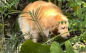 54 Animal Pics Shared By This Community That Are Guaranteed To Make You Smile