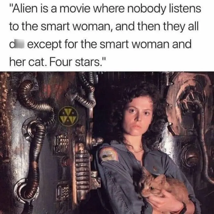 57 Completely Unserious Cat Posts Shared By This Page That Deserve A Place In Your Daily Scroll