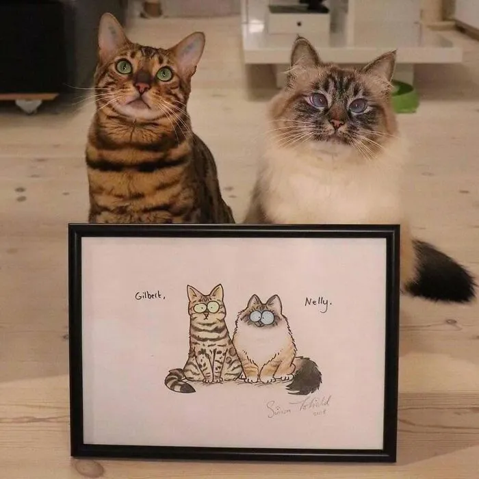 This Page Shared 40 Photos Of Cats Caught In Situations That Often Make No Sense