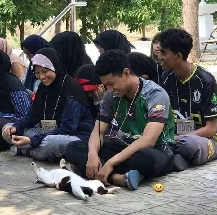 This Page Shared 40 Photos Of Cats Caught In Situations That Often Make No Sense