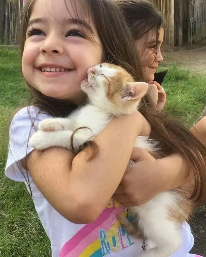 This Page Shared 40 Photos Of Cats Caught In Situations That Often Make No Sense