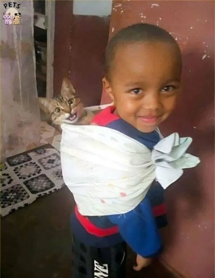 This Page Shared 51 Photos Of Silly Cats Doing Whatever They Want