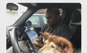 This Page Shared 62 Memes That Show Why Dogs Are So Lovable And Entertaining
