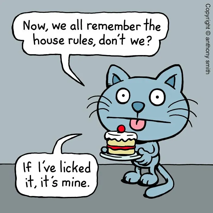 ‘Cattitude’: 30 New Funny Comics By This Artist Showcasing Daily Struggles In A Cat’s Life