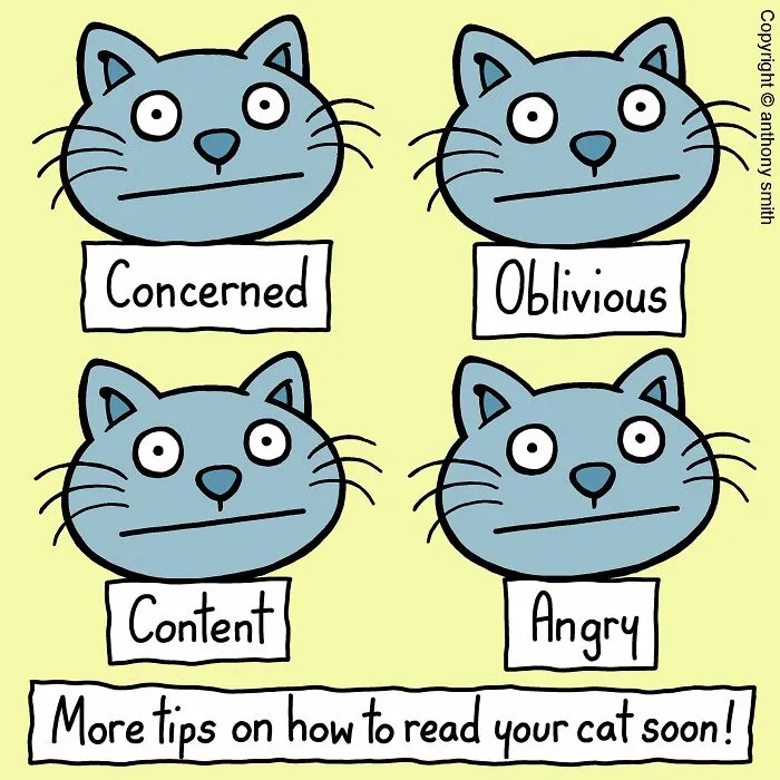 ‘Cattitude’: 30 New Funny Comics By This Artist Showcasing Daily Struggles In A Cat’s Life