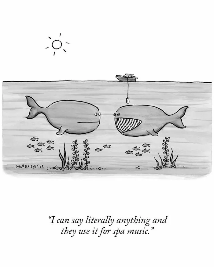Cartoon meme of two whales with one complaining about spa music