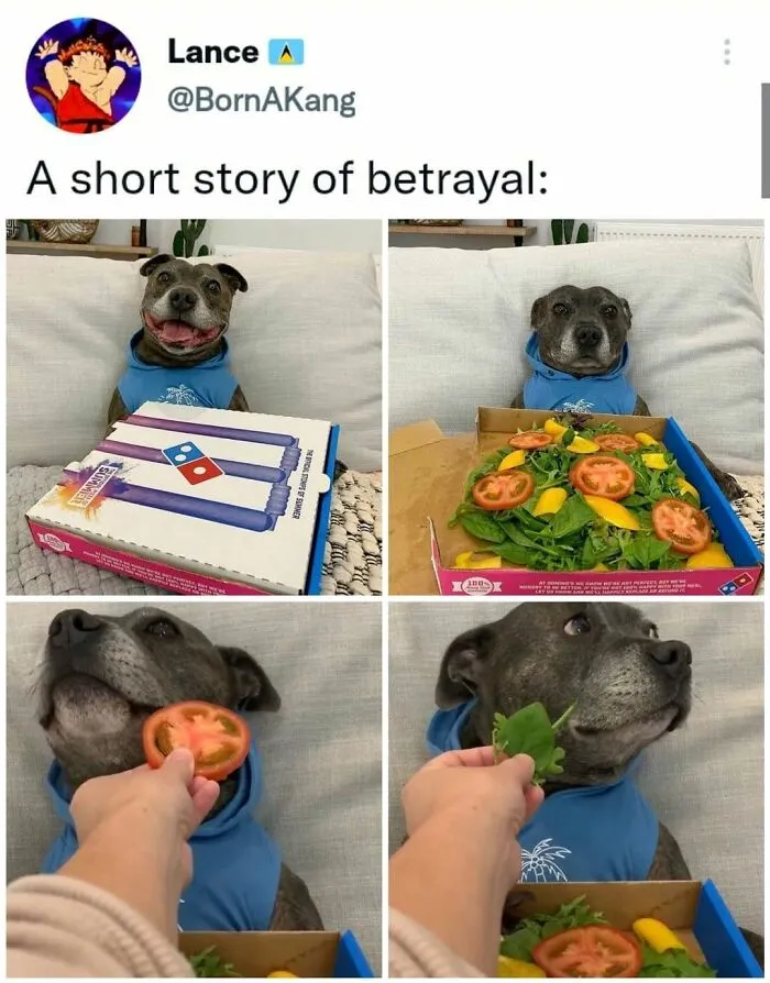 Dog betrayal meme with dog happy then disappointed to find salad instead of pizza