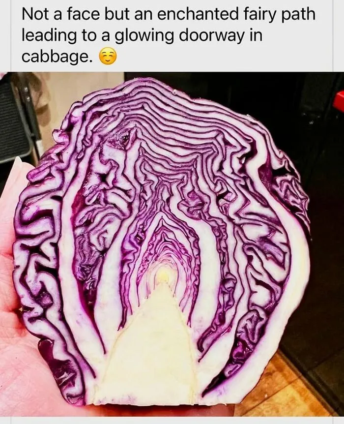 62 Photos That Show How Easily Our Brains Find Faces Everywhere, As Shared On This Page