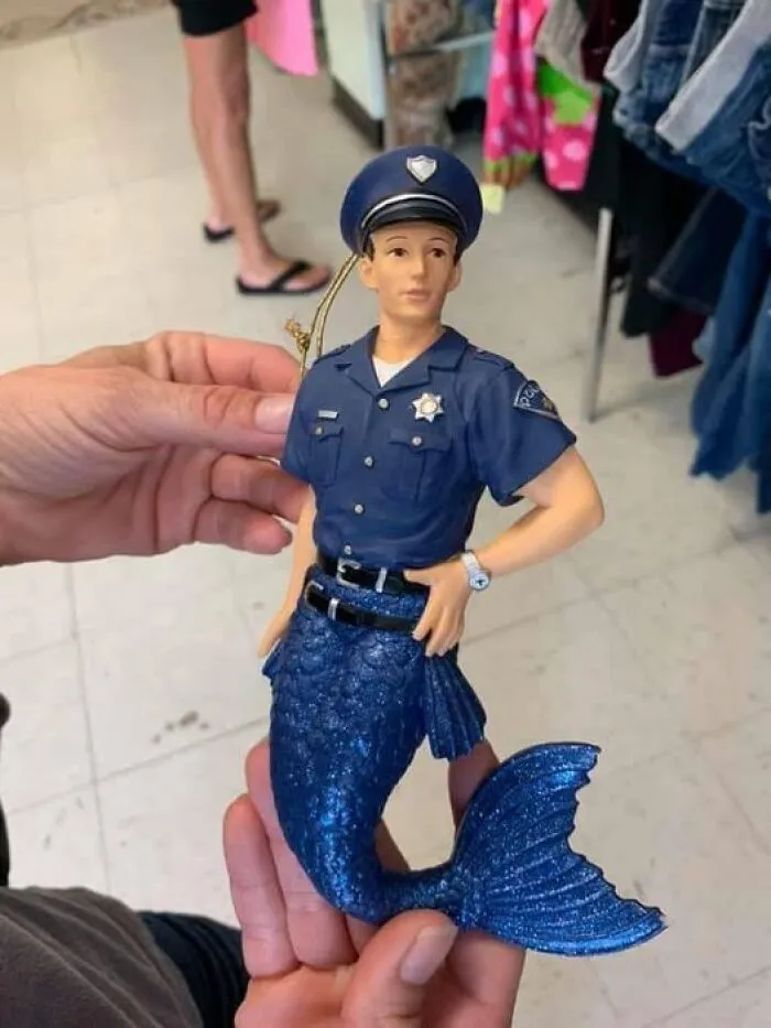 Hello, Officer
