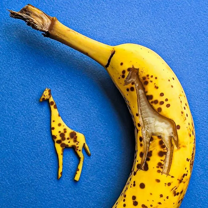 A banana peel is carved to look like a giraffe in this creative playful illustration.