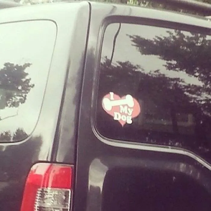 A car sticker saying I Love My Dog where the bone is placed suggestively, an unbelievable fail.