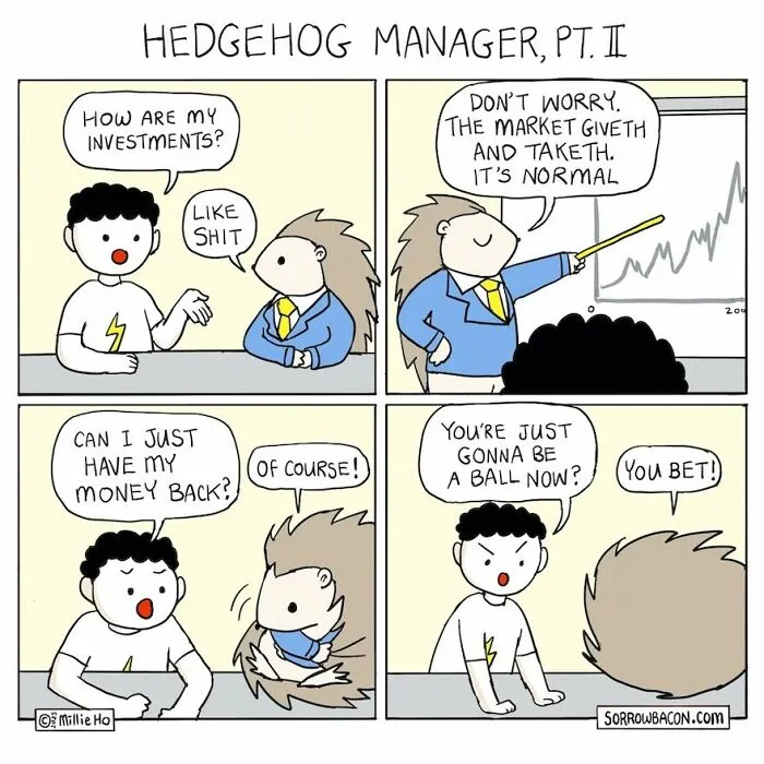 Artist creates comics about a hedgehog manager in funny twists, discussing investments that went wrong, leading to the hedgehog rolling into a ball.