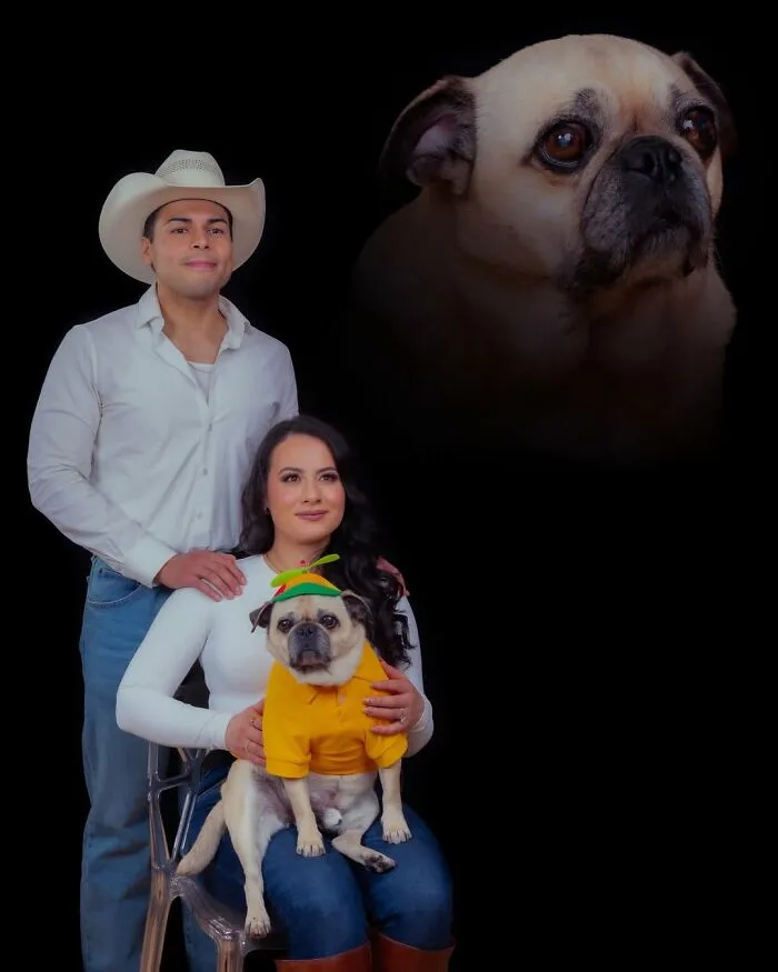 Photographer Uses Her Sense Of Humor To Create Unique Photos Of Pets And Their Owners (49 New Pics)