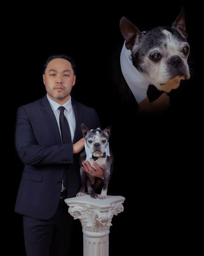 Photographer Uses Her Sense Of Humor To Create Unique Photos Of Pets And Their Owners (49 New Pics)