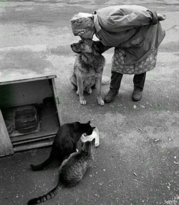 An elderly woman kisses her dog while two cats wait for food in a classic vintage cat photo.