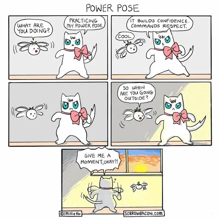 Artist creates comics about a cat practicing a power pose in funny twists, building confidence, until a fly asks if it's going outside.