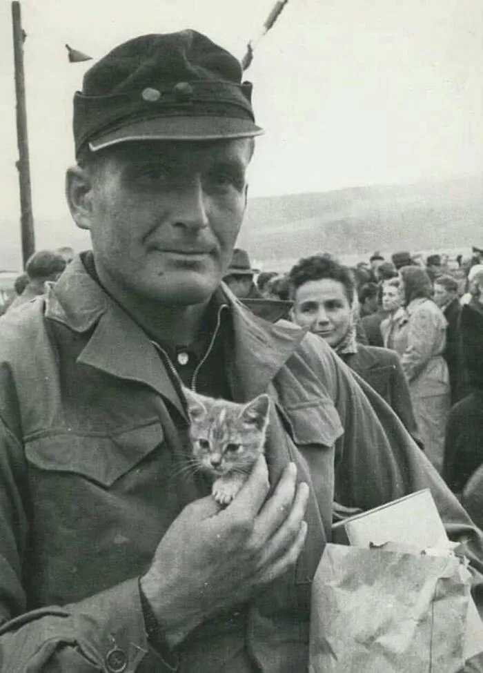 A soldier smiles while holding a small kitten in his pocket, a heartwarming vintage cat photo.