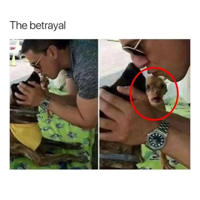 Two side-by-side images of a man kissing a dog, with a small chihuahua in the background looking betrayed. A funny dog meme.