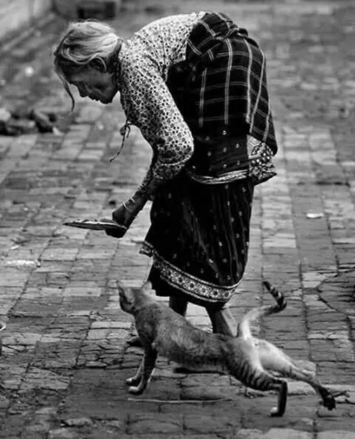 An old woman bends down to feed a stray on the street in this vintage cat photo.