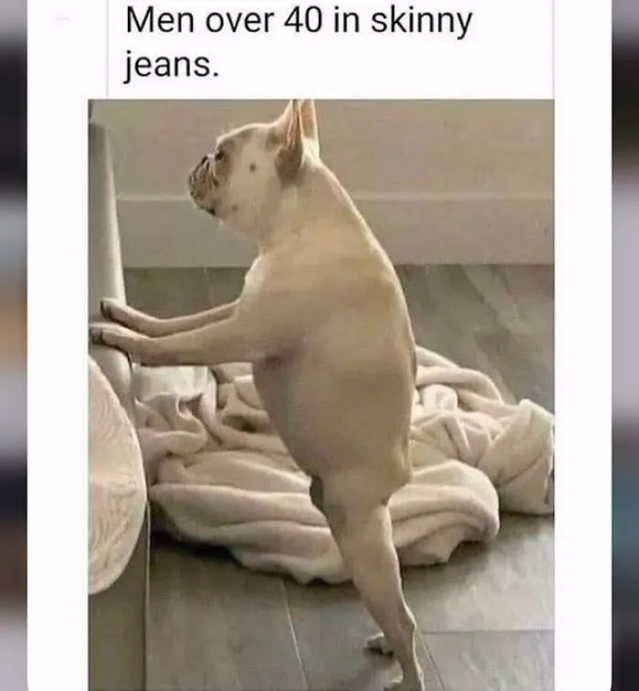 A dog meme standing on two legs, leaning against a couch, with the caption Men over 40 in skinny jeans.