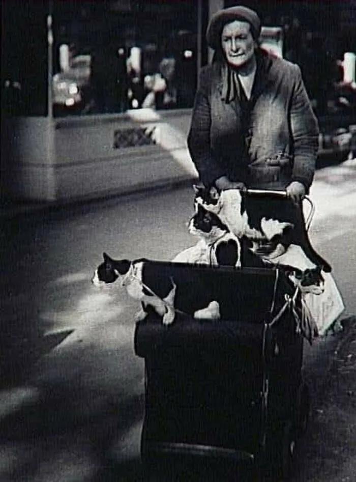 A nostalgic vintage photo depicting an elderly woman pushing several cats in a stroller along a city sidewalk