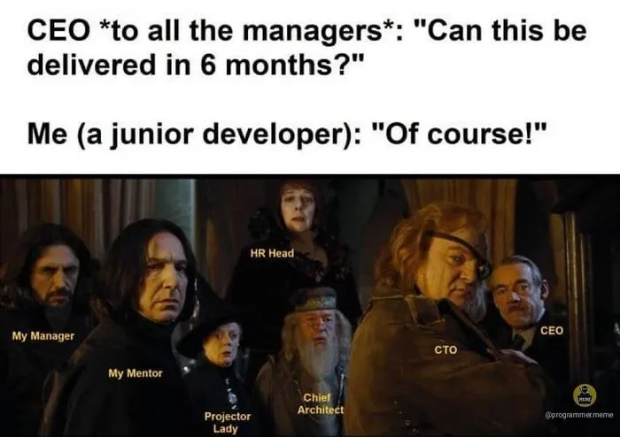 Junior developer agrees to 6 month delivery with manager meme
