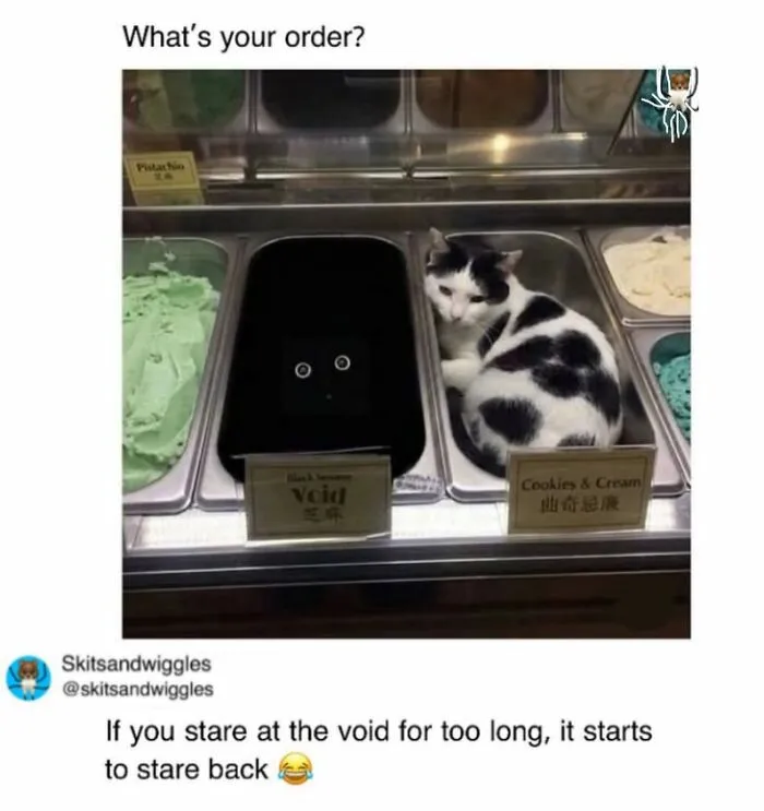 73 Funny And Chaotic Memes For When Life Gets Too Serious