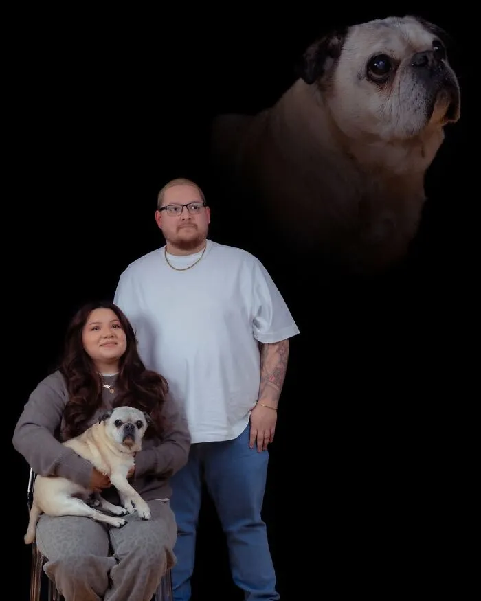 Quirky portraits of pets and their owners: a couple with their pug, and a floating pug head.