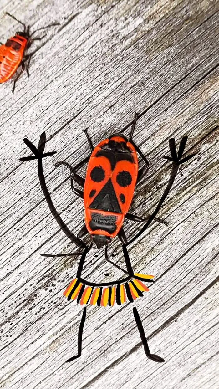 A red firebug transformed into a ballerina with playful illustrations on a wooden surface