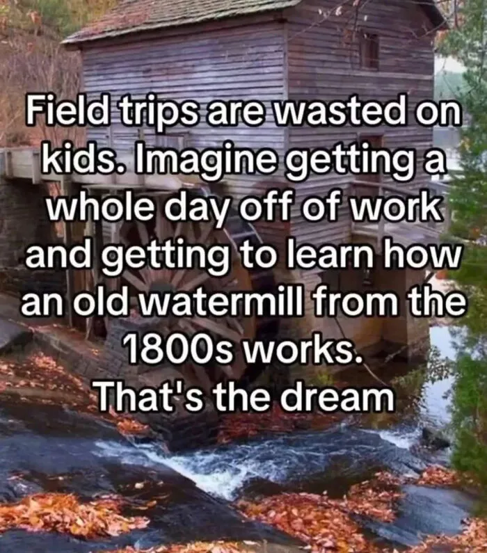 74 Hilariously Relatable Memes For Adults Who Still Don’t Know What They’re Doing