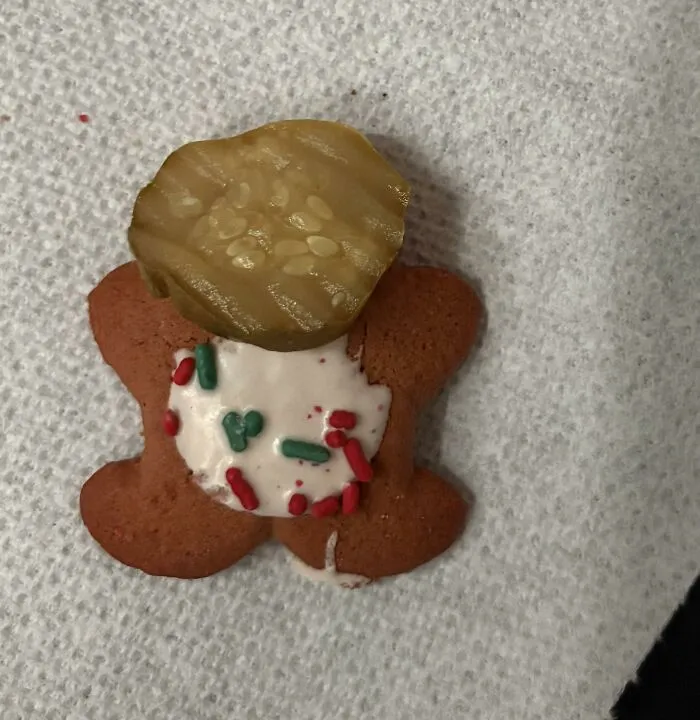 Weird food combinations showing a sweet gingerbread cookie topped with a sour pickle slice.