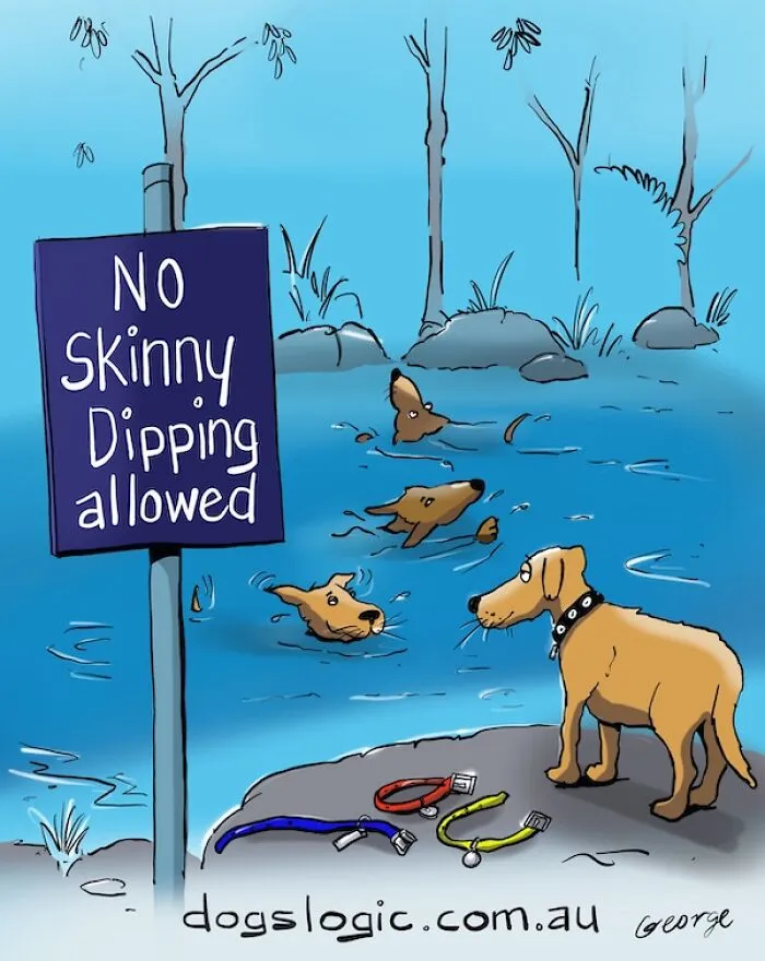 Witty dog logic comic showing dogs swimming without their collars near a no skinny dipping sign.