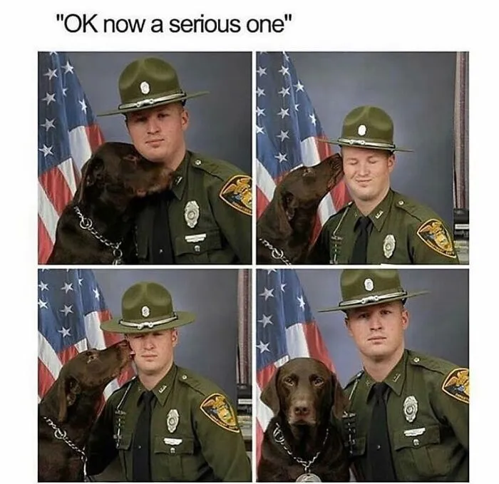 76 Funny Jokes Shared By The “Spicy Dog Memes” Page That Dog Owners Might Instantly Relate To