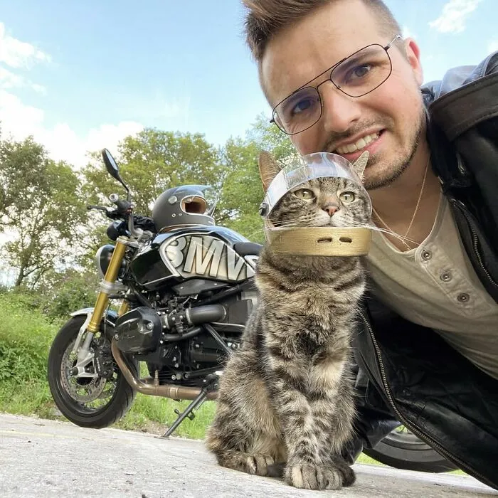 This Man Has All Kinds Of Crazy Adventures With His Cat (33 New Pics)