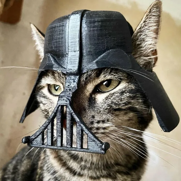 This Man Has All Kinds Of Crazy Adventures With His Cat (33 New Pics)