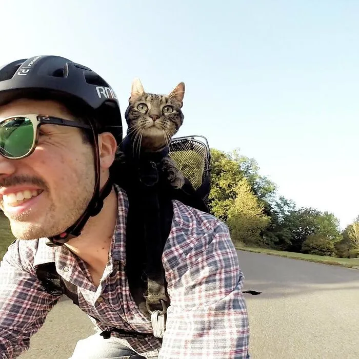 This Man Has All Kinds Of Crazy Adventures With His Cat (33 New Pics)