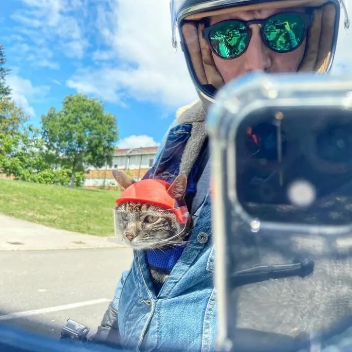 This Man Has All Kinds Of Crazy Adventures With His Cat (33 New Pics)