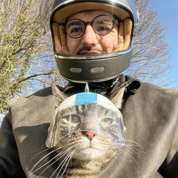 This Man Has All Kinds Of Crazy Adventures With His Cat (33 New Pics)