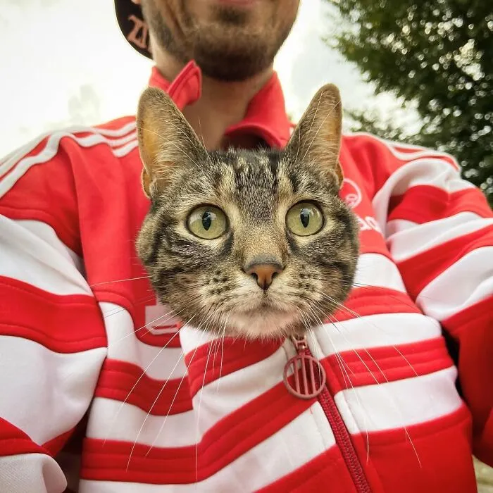 This Man Has All Kinds Of Crazy Adventures With His Cat (33 New Pics)