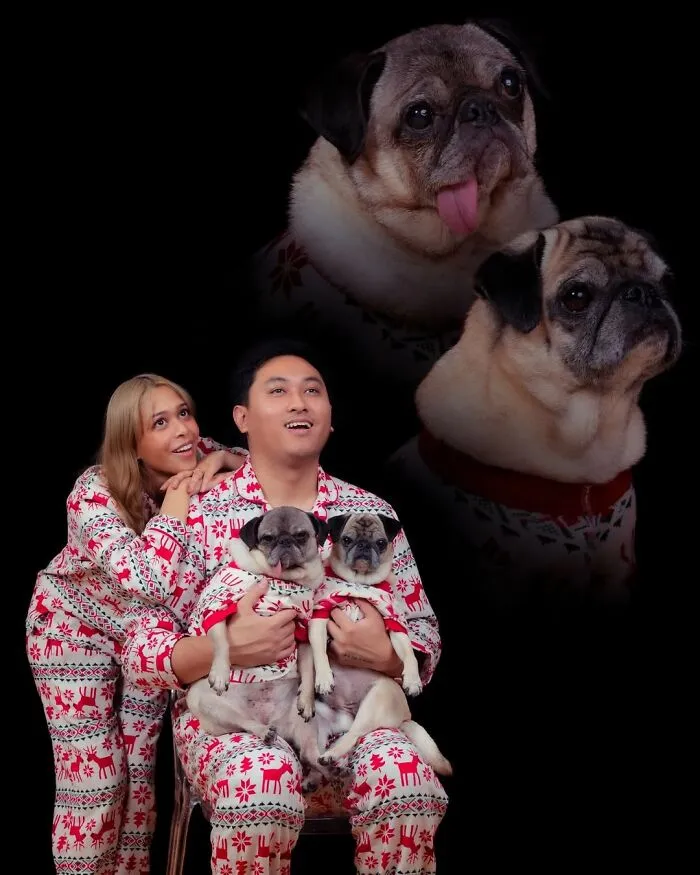 Photographer Uses Her Sense Of Humor To Create Unique Photos Of Pets And Their Owners (49 New Pics)